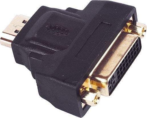 Delock - Video adapter - DVI-D hunn til HDMI hann