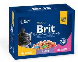 Brit Premium kattemat Family Plate kylling & fisk 12x100 g