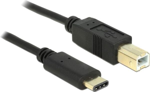 Delock - USB-kabel - USB-C (hann) til USB-type B (hann) - USB 2.0 - 3 A - 2 m - svart