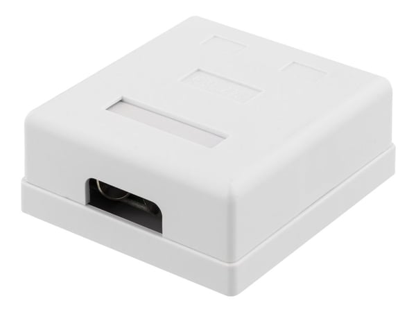 DELTACO VR-221 - Overflatemonteringsboks for nettverk - overflatemonterbar - CAT 6a - FTP - RJ-45 X 2 - hvit