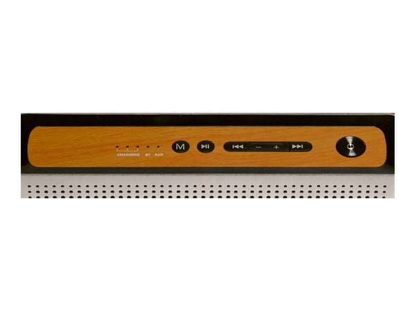 DENVER BTS-200 - Høyttaler - for bærbar bruk - trådløs - Bluetooth - 10 watt - sølv