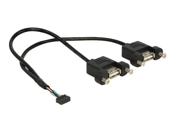 Delock - Intern-til-ekstern USB-kabel - 10-pins USB-kontakt (hunn) til USB (hunn) - 25 cm - svart