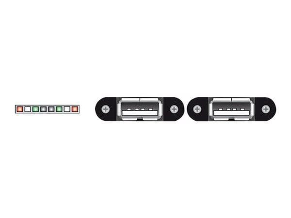 Delock - Intern-til-ekstern USB-kabel - 8-pins USB 2.0-header (hunn) til USB (hunn) - 25 cm - svart