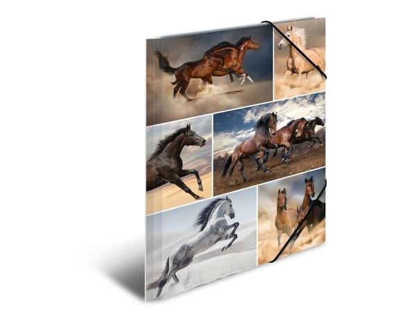 HERMA - 3-flikhållare - för A4 - horses