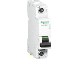 Schneider Electric A9N61505, 250 V