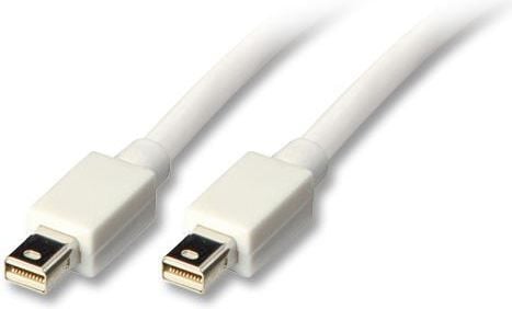 Lindy Mini DisplayPort 1.5m, 1,5 m, Hvit, Nickel, 10,8 Gbit/s, Hankjønn/hankjønn