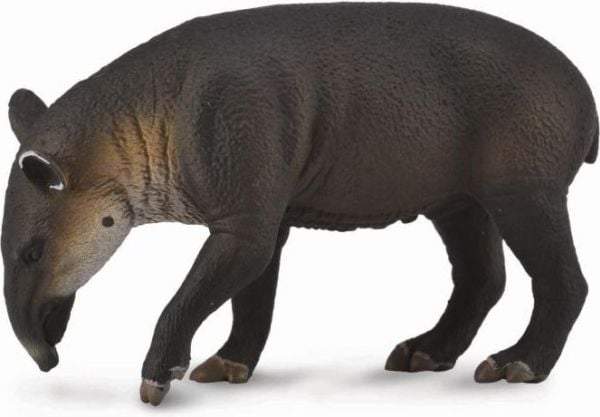 Collecta Tapir - Bairdin vasikka (004-88596) Collecta Tapir - Bairdin vasikka (004-88596)