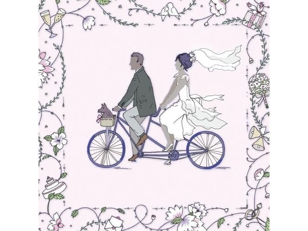 Swarovski firkantet carnet CL1904 bryllup brud og brudgom