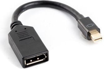 Lanberg - DisplayPort-adapter - Mini DisplayPort hann til DisplayPort hunn - 12 cm