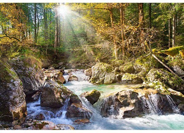 Castorland The forest stream 2000 pcs, 2000 kpl, Maisema, 9 vuosi/vuosia