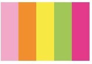 D.Rect indeksfaner 15x50 mm papir neon