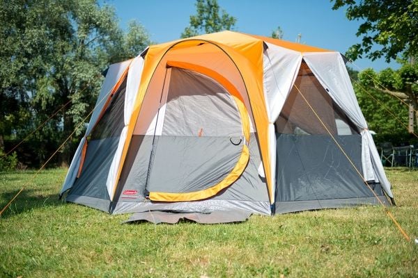 Coleman Teltta Cortes Octagon 8 (053-L0000-2000019550-201)