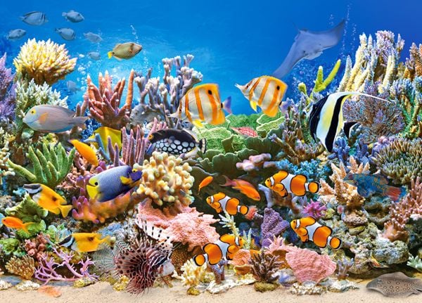 Castorland Puzzle Coral Reef 260 deler (27279)