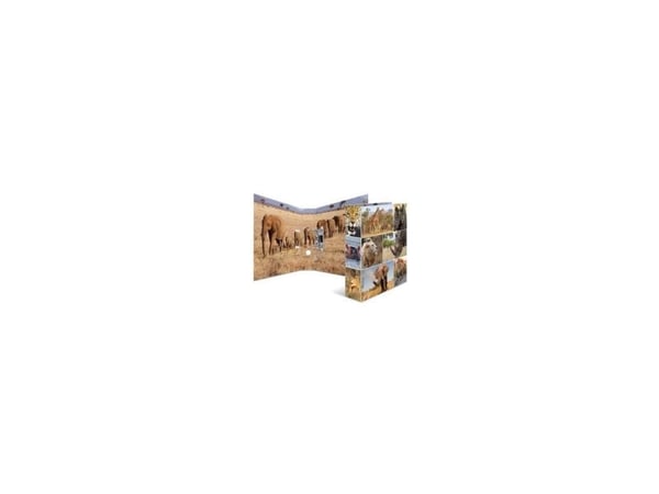 HERMA 7168, A4, D-ring, Oppbevaring, Kartong, Flerfarget, 7 cm