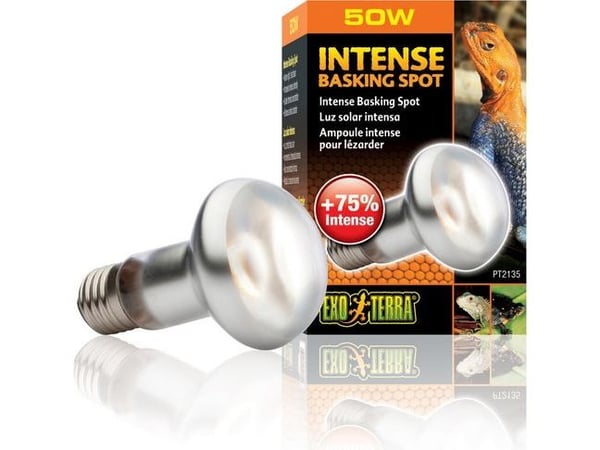Hagen EXOTERRA lampe INTENSE SPOT 50W