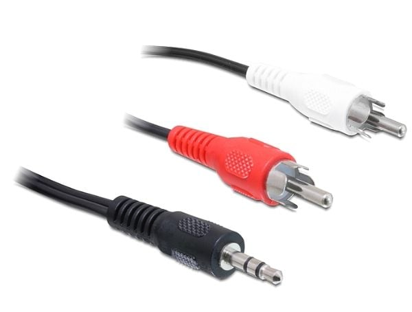 Delock - Lydkabel - RCA x 2 hann til mini-phone stereo 3.5 mm hann - 10 m - svart