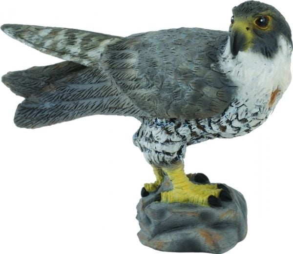 Collecta figur - Sakalas, reisende (passasjerfalken)