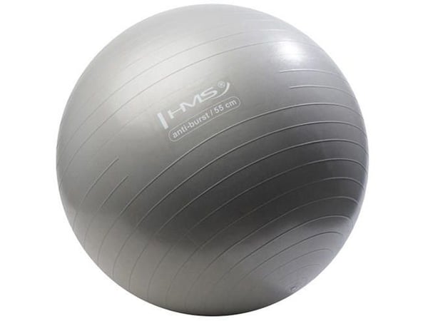 HMS Treningsball YB02 Anti-Burst 55 cm grafitt (17-42-116)