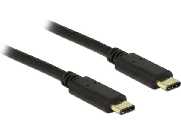 Delock - USB-kabel - USB-C (hann) til USB-C (hann) - USB 2.0 - 3 A - 2 m - svart