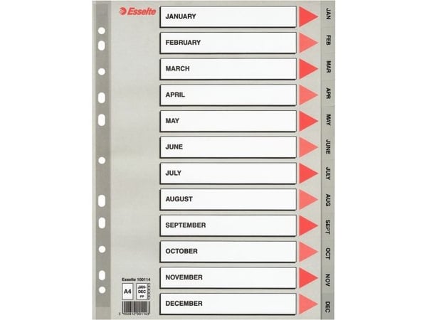 Esselte Vivida A4 presentasjonsmappe, 20 lommer (10K095B)