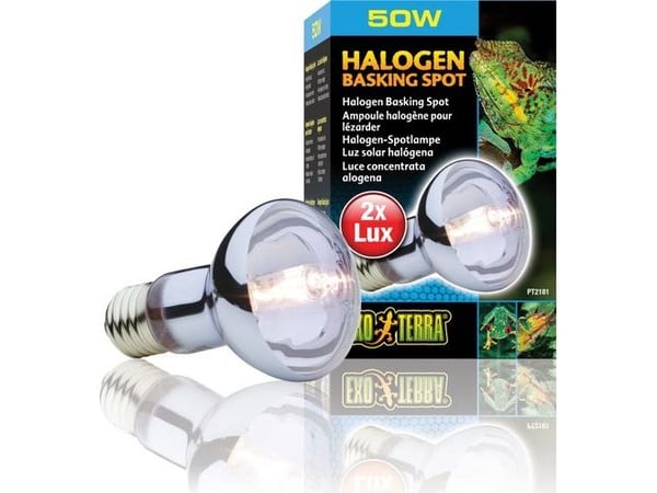 Hagen EXOTERRA halogen spotlampe 50W
