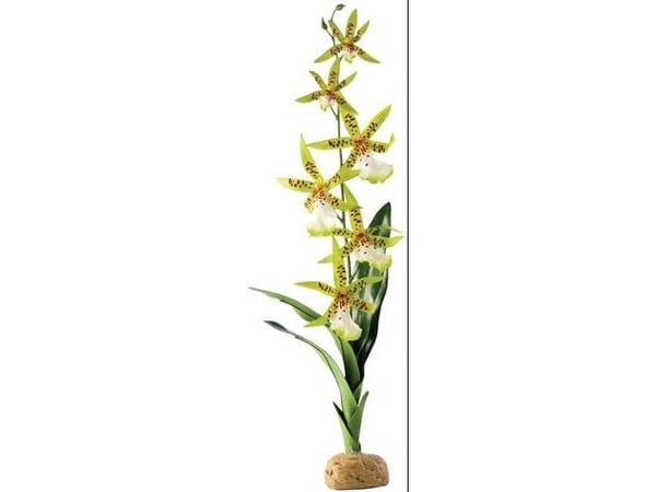 Kunstig plante - Orchid Spider Orchid Kunstig plante - Orchid Spider Orchid