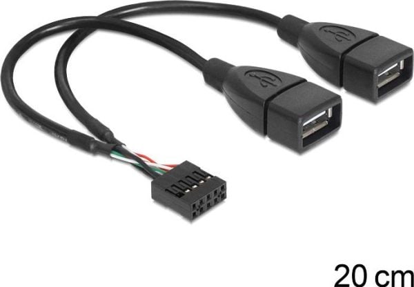 Delock - Intern-til-ekstern USB-kabel - USB (hunn) til 9-pins USB-header (hunn) - 20 cm