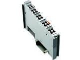 Wago 750-600, 12 x 100 x 69,8 mm, 0 - 95 %