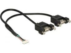 Delock - Intern-til-ekstern USB-kabel - 8-pins USB 2.0-header (hunn) til USB (hunn) - 25 cm - svart
