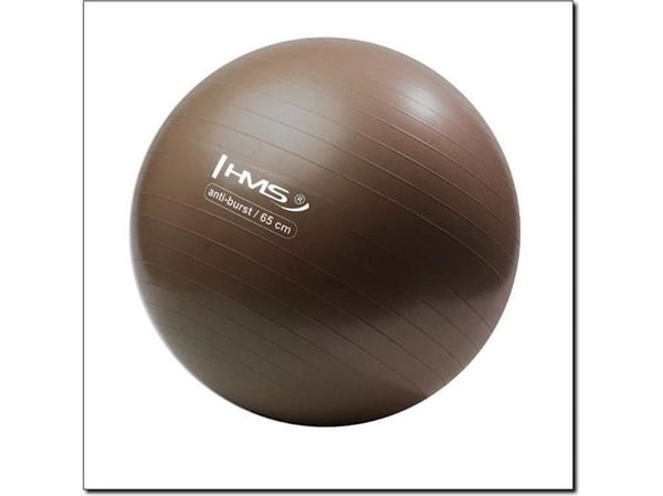 HMS Anti Burst treningsball 65 cm grizzly (YB02)