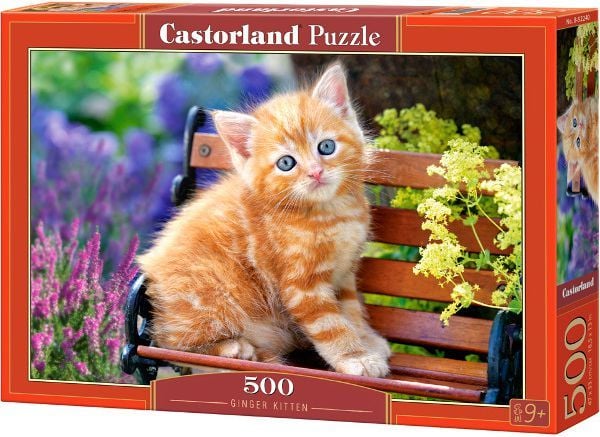 Castorland Ginger kitten 500 pcs, 500 stykker, Fauna, 9 år