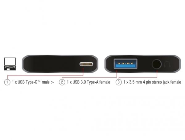 Delock - Retail Pack - dockningsstation - USB-C