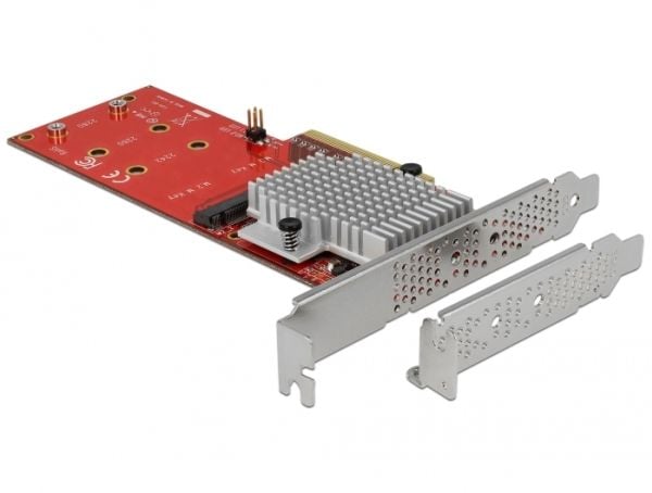 Delock PCI Express Card > 2 x internal M.2 - Grensesnittsadapter - M.2 Card - lav profil - PCIe 3.0 x8
