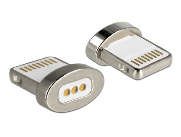 Delock - Lightning-adapter - terminal (magnet) till Lightning hane