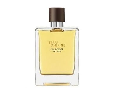 Hermes Terre d'Hermès Eau Intense Vetiver 100ml, Mænd, Spray