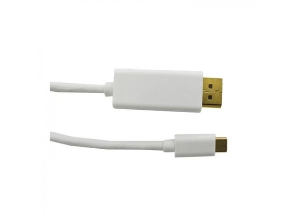 Qoltec - Adapterikaapeli - USB-C (han) til DisplayPort (han) - USB 3.1 - 1 m - 1 m