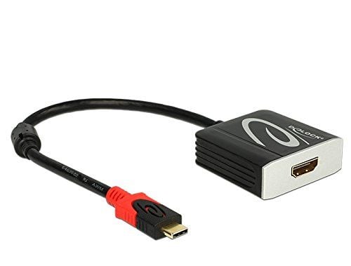 Delock - Extern videoadapter - RTD2169U - USB-C - VGA - svart