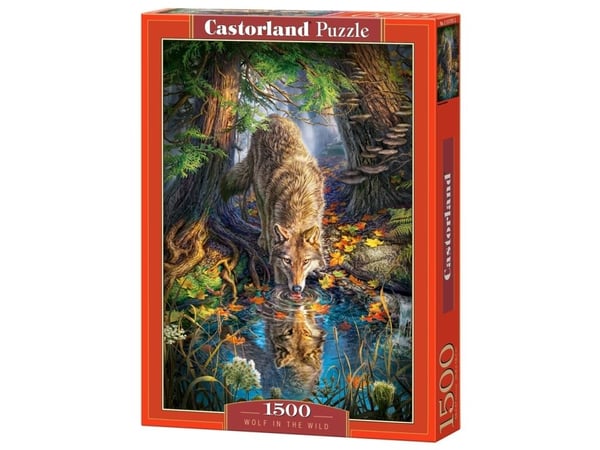 Castorland Wolf in the Wild, 1500 stykker, Dyr, 9 år