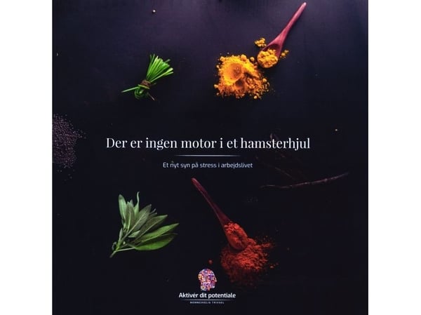 Det finns ingen motor i ett hamsterhjul | Simon Taus Philip Nielsen | Språk: Danska
