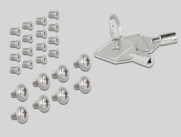 Delock - Bevegelig lagerrack - 2.5" - svart