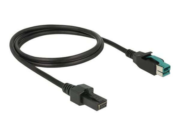Delock - USB-kabel med egen strömförsörjning - USB PlusPower (12 V) (hane) till 8 stifts (2x4) PoweredUSB-fjärrsida (hane) - 12 V - 1 m - svart