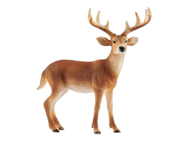 Schleich vitstjärtad buck (White-Tailed Buck)
