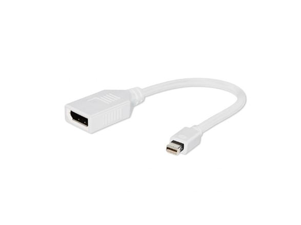 Cablexpert - DisplayPort-adapter - DisplayPort (hunn) til Mini DisplayPort (hann) - 10 cm - hvit