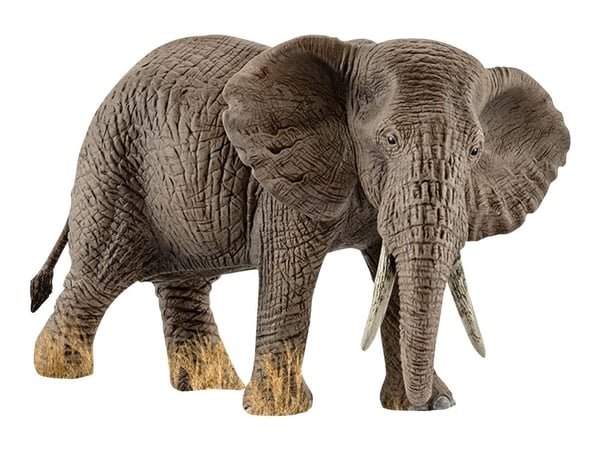 Schleich African elephant female