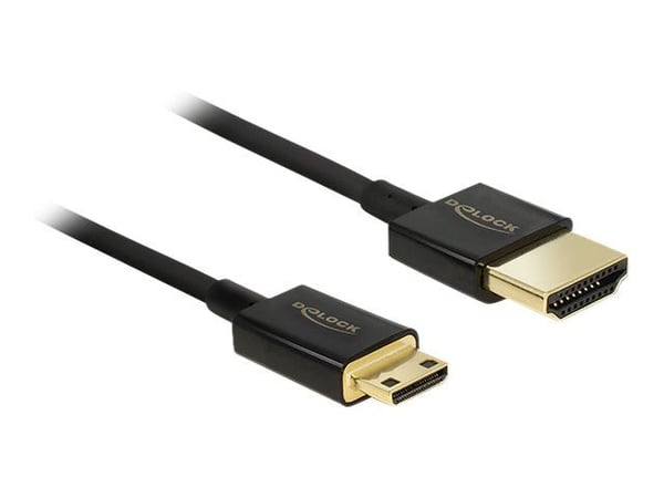 Delock Slim High Quality - HDMI-kabel med Ethernet - 19 pin mini HDMI Type C hane till HDMI hane - 25 cm - trippelskärmad partvinnad - svart - stöd...