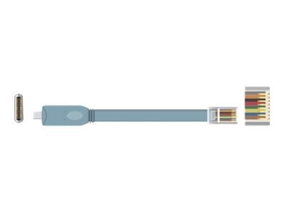 Delock - Sarjasovitin - USB-C - RS-232 x 1 - grå