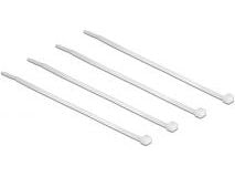 DeLOCK 18605, Nailon, 100 mm, 2,5 mm, 100 kpl