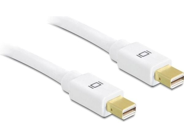 Delock - DisplayPort-kabel - Mini DisplayPort (hann) til Mini DisplayPort (hann) - 1 m - hvit