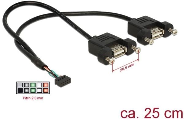 Delock - Intern-til-ekstern USB-kabel - 10-pins USB-kontakt (hunn) til USB (hunn) - 25 cm - svart