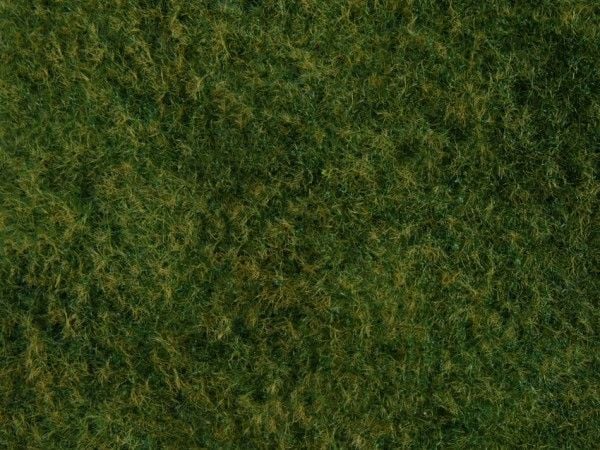 NOCH Wild Grass Foliage, Grønn